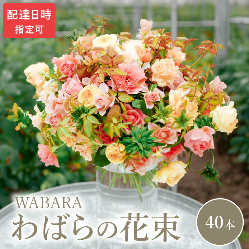 【ふるさと納税】わばら 40本 程度 選べる 配達日時 花束 わばらの枝 摘みたて WABARA ばら 花 飾り インテリア アレンジ 生花 切り花 花のある生活 丁寧な暮らし 冷蔵 滋賀県 守山市 お取り寄せ Rose Universe 國枝啓司 送料無料