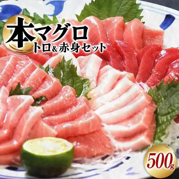 本マグロ（養殖）トロ＆赤身セット　500g［KS12］