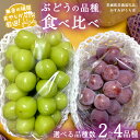 【ふるさと納税】＼ 選べる品種数 ／ ぶどう 食べ比べ （各1房ずつ） 【8月より発送開始】 （茨城県共通返礼品：かすみがうら市産） ブドウ 葡萄 果物 フルーツ 茨城県産