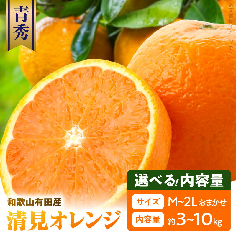 【ふるさと納税】和歌山 有田産 清見オレンジ 青秀品 選べる 内容量 3kg ～ 10kg M L 2L サイズ いずれか 和歌山県 有田地方 温暖 柑橘類 栽培 適した地域 春 みかん 代表的 品種 甘み 酸味 バランス みずみずしい オレンジ 柑橘 フルーツ 果物 お取り寄せ