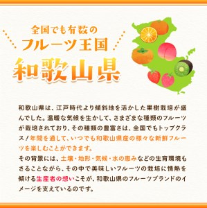 【和歌山県紀の川市産】新鮮いちじく約300g×4パック入り 紀の川市厳選館《2024年9月上旬-11月中旬頃出荷予定》和歌山県 紀の川市