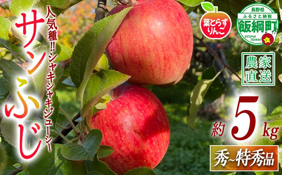 
                  りんご 葉とらず サンふじ 秀 〜 特秀 5kg フレッシュフルーツミカズキ 2026年11月下旬頃から2027年1月下旬頃まで順次発送予定 令和8年度収穫分 信州 果物 フルーツ リンゴ 林檎 長野 予約 農家直送 長野県 飯綱町 [1665]
                