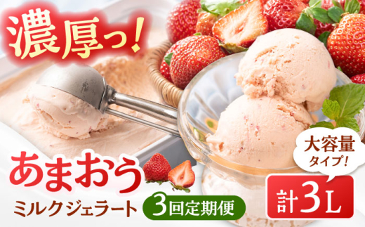 【全3回定期便】福岡産 あまおう ジェラート 1000ml ▼ イチゴ  苺 福岡 あまおう 果物 フルーツ アイス 定期便  桂川町/南国フルーツ株式会社[ADBW048]