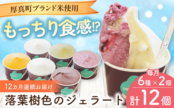 
                  【全12回定期便】落葉樹色のジェラート6種×2セット 《厚真町》【株式会社クーバル】 ジェラート アイス セット アソート 米粉 詰め合わせ スイーツ 北海道 定期便 [AXBQ035]
                