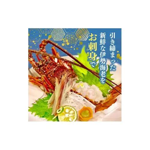 【 伊勢海老 】 伊勢海老700g以上