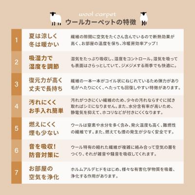ふるさと納税 泉大津市 天然ウール100%の　防炎　カーペット　1枚　3帖　約176×261cm　600023830 |  | 03