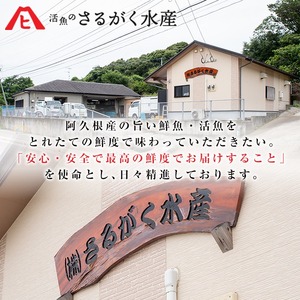 養殖真鯛切身(約2kg) 鹿児島県 阿久根市 たい タイ 真鯛 魚貝 魚介 海産物 切身 切り身 煮物 煮つけ 焼き魚 おかず おつまみ 小分け 【さるがく水産】akn028-47