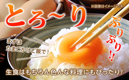 【定期便】お茶と海藻で健康育ち 元気卵 360個（30個×12回） 亀山市/藪本養鶏園 タマゴ 玉子 送料無料[AMBH004]