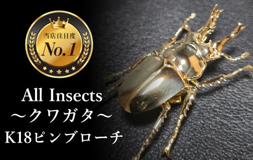 
                  【18金ピンブローチ】世界で希少なオウゴンオニクワガタピンブローチ　幻の昆虫アートジュエリーAll insects　【個数限定】CB-68
                