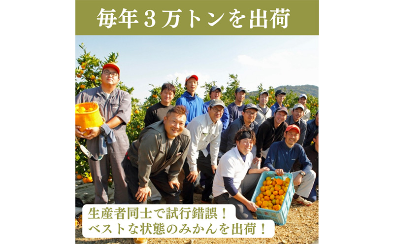 早生三ケ日みかん 秀S 4kg (約44個) みかん ミカン フルーツ 果物 くだもの 機能性表示食品 浜松市