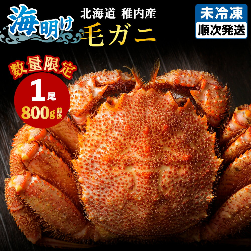 【ふるさと納税】今だけ！稚内産海明け毛ガニ 浜ゆでチルド発送 800g前後ボイル 毛がに 冷蔵 毛ガニ 毛蟹 ボイル 蟹 カニ 海鮮 海産物 北海道ふるさと納税 稚内 ふるさと納税 北海道 【配送不可地域：離島】