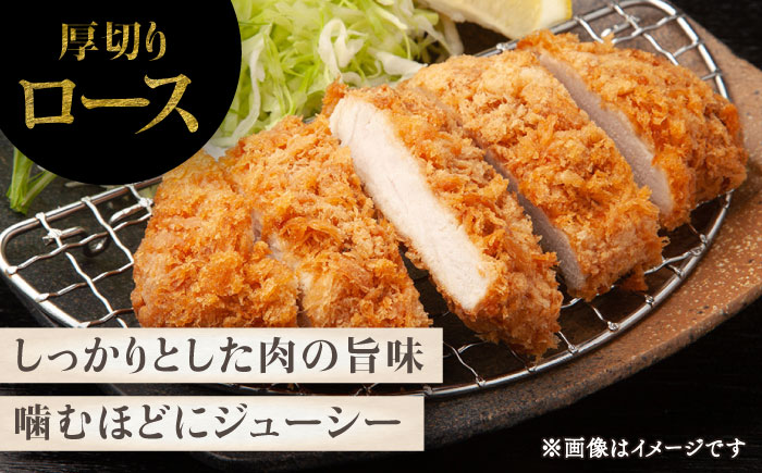 【香心ポーク】 とんかつ食べ比べ(計約1.2kg) 豚肉【有限会社コーシン】 [BHAH012]