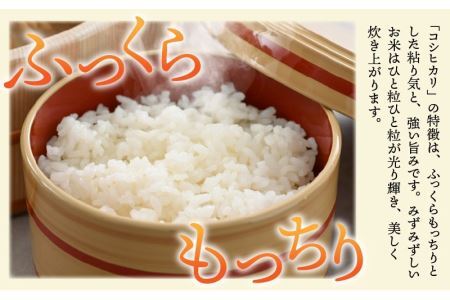 【先行予約】 令和6年産 特別栽培米コシヒカリ 5kg ×2袋（無洗米） ※2024年9月20日以降順次発送 [B-005002]