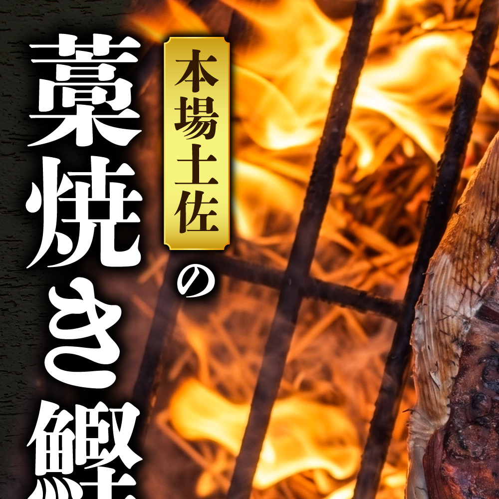【3回定期便】 かつおのたたき 訳あり 1.5kg かつお カツオ 鰹 タレ付き かつおたたき 鰹のたたき 訳アリ 定期便 3回 不揃い 規格外 鰹 刺身 刺し身【株式会社大熊】 [BQAA004]_