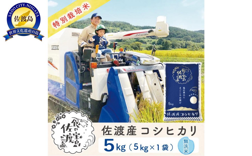 佐渡島産コシヒカリ 無洗米5kg 特別栽培米 農家直送195962-0323
