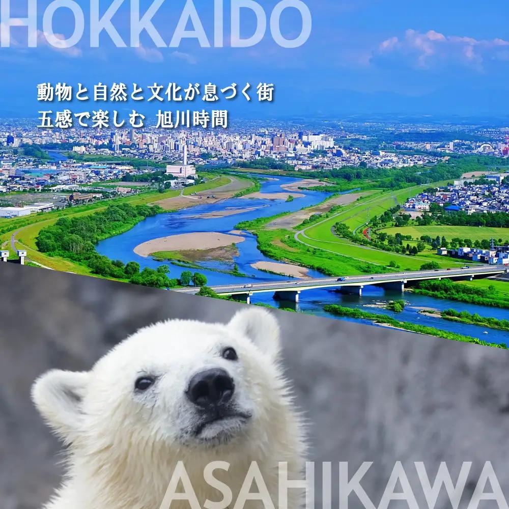 【北海道ツアー】旭川市 後から選べる旅行Webカタログで使える！旅行クーポン 90万円分 | トラベル 宿泊 観光 体験 ホテル チケット_04887