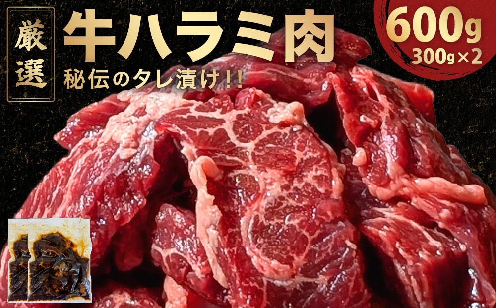 
                  厳選 秘伝のタレ漬け ハラミ 600g（300g×2パック）　[058-a033]
                