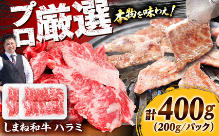 【牛ハラミ】しまね和牛ハラミ 400g  [AIEF006]