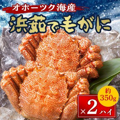 ふるさと納税 北見市 オホーツク海産　浜茹で毛がに　約350g×2ハイ