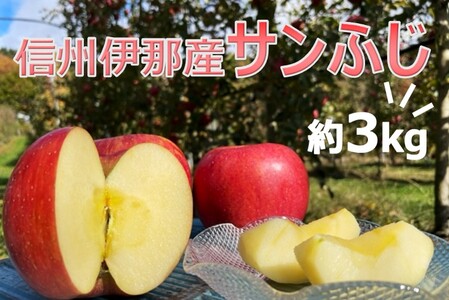 【009-05】信州伊那産　りんご　サンふじ　3kg