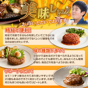 ハンバーグ食べ比べ20個セット_4種 20個 チーズデミ 和風 トマトソース カレーソース ハンバーグ 各5個 冷凍 温めるだけ 湯煎 レンジ 電子レンジ バラエティ 個包装 小分け 食べ比べ お弁当
