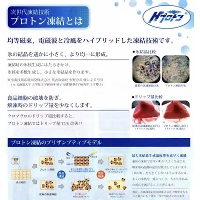 約450g切り落とし【3ヵ月毎定期便】氷温（R）熟成　飛騨牛A5等級（前バラ、肩ロース使用）　全4回 [No.900]