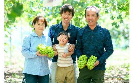 M246　シャインマスカット　２房