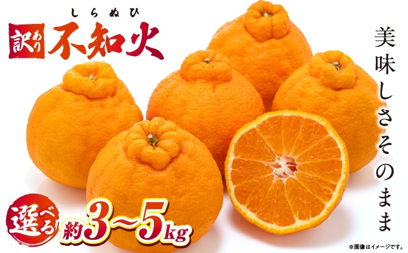 
                  【先行予約】【選べる内容量】訳あり不知火約3kg～5kg【香川県共通返礼品】 | 果物 フルーツ 不知火 しらぬい フレッシュ ジューシー 香り 爽やか 旬の果物 人気 おすすめ 訳あり 生産者応援 青果物 糖度 香川県 三木町 |_mk006-126
                