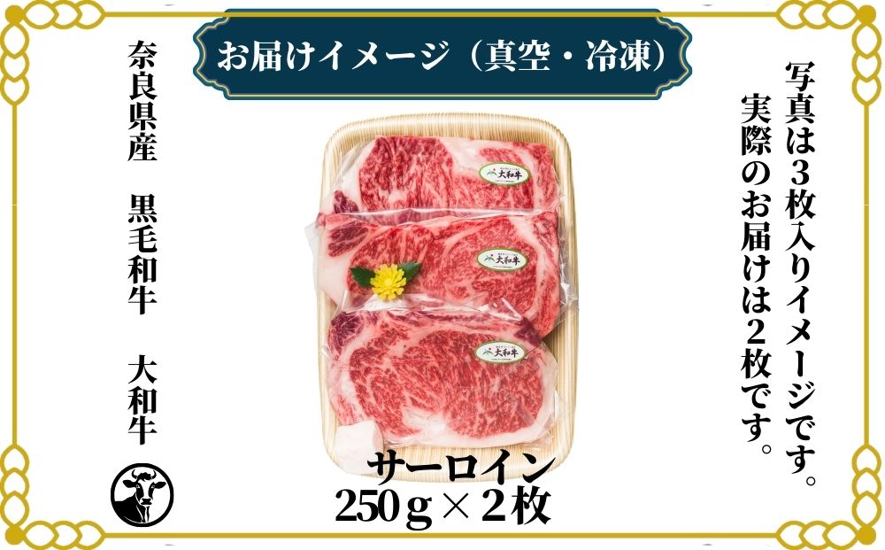 (冷凍) 大和牛 ステーキ サーロイン (250g×2枚) ／ 金井畜産 焼肉 キャンプ バーベキュー アウトドア 贈答 父の日 母の日 奈良県 宇陀市 お中元 贈答用 贈り物 暑中見舞い お土産 お