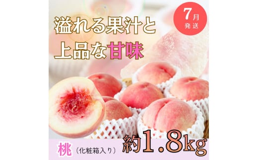【全3回】旬のフルーツ定期便 【田村みかん 紀州デコ(不知火) 桃】 和歌山の旬をお届け【tkb313】