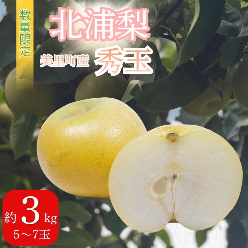 【ふるさと納税】 梨 北浦梨 秀玉 3kg （5～7玉）｜なし ナシ 北浦 美里 しゅうぎょく 自家用 贈答
