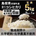 【ふるさと納税】【毎月定期便】栽培期間中化学肥料・化学農薬不使用 R1米コシヒカリ5kg(玄米)全6回【4056798】