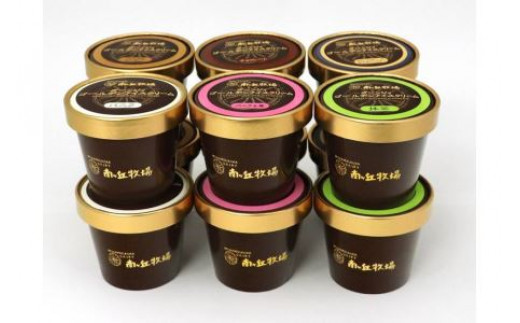 南ヶ丘牧場 アイスクリーム12個セット スイーツ アイス 高級アイス 詰め合わせ 乳牛 冷凍 那須町〔P-132〕