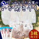 【ふるさと納税】大人気！北海道知床羅臼産いかの開き干し(3枚セット) イカ 海産物 北海道 魚介類 冷凍 国産 生産者 支援 応援