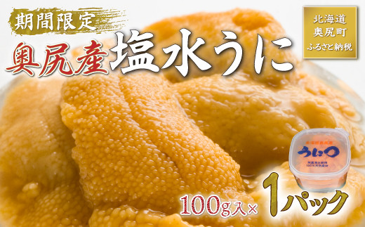 【2025年度先行予約】北海道奥尻産「キタムラサキウニ」100g (塩水パック)【期日指定不可】 【 ふるさと納税 人気 おすすめ ランキング うに ウニ 雲丹 海栗 塩水ウニ 塩水うに キタムラサキウニ ミョウバン不使用 北海道 奥尻町 送料無料 】 OKUH016