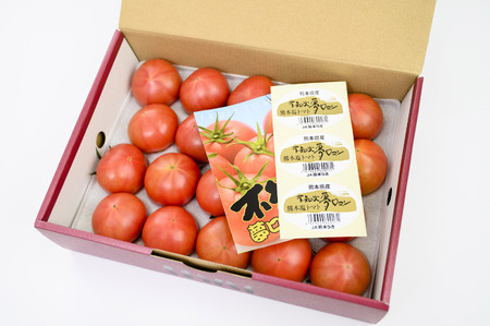 【先行予約】塩トマト 夢ロマン 約1kg 赤箱M～Sサイズ(12～20玉)【2026年3月下旬〜6月中旬頃発送予定】