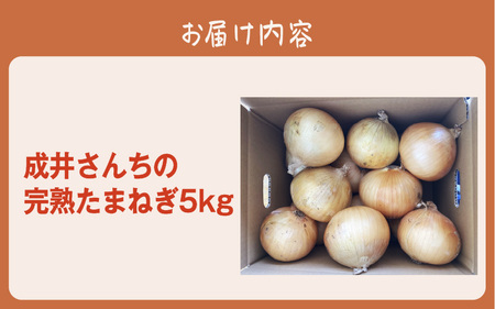 【先行予約】成井さんちの完熟たまねぎ5㎏　2025年収穫分