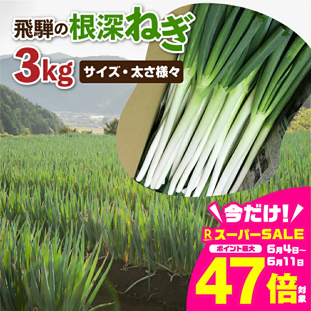 【ふるさと納税】《令和7年産先行予約》《訳あり》飛騨の根深ねぎ 3kg 薬味からお鍋までおすすめ！サイズ・太さ様々 訳アリ わけあり ワケアリ 不揃い 野菜 産地直送 白ねぎ 白ネギ [B0141]