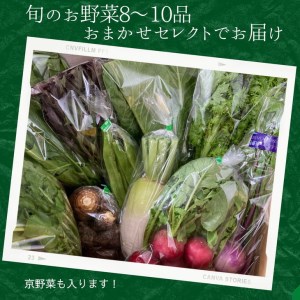 【6回定期便】旬の味！お野菜 詰め合わせBOX 8～10品目×6回（栽培期間中 農薬・化学肥料不使用） 【めぐる農園】京都 亀岡 京野菜 農家より直送 野菜 野菜詰め合わせ 野菜セット 厳選野菜 旬野