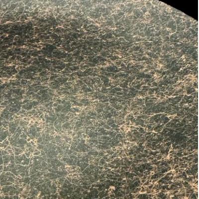 ふるさと納税 海南市 フラットプレート(D)　乱糸(マット仕上げ)マジョグリーン |  | 01