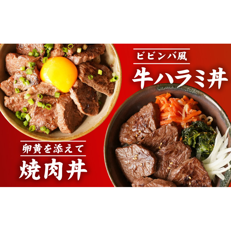 牛肉 ハラミ 1.5kg 小分け 250g×6P【氷温熟成×極味付け 牛肉 訳あり 不揃い 焼肉 BBQ 野菜炒め】 mrz0251_イメージ5
