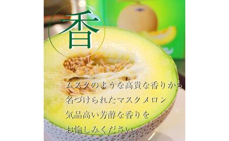 【奇数月6ヶ月定期便】クラウンメロン【並（白等級）】小玉（1.1kg前後）6玉入り 