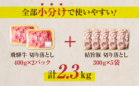 訳あり 飛騨牛 切落し400g×2パック 結旨豚 切り落とし 300g×5袋 全部 小分け 計約2.3kg 白川郷 もも ウデ バラ ミックス 牛肉 豚肉 お肉 国産 白川村 真空パック こま切れ ブ