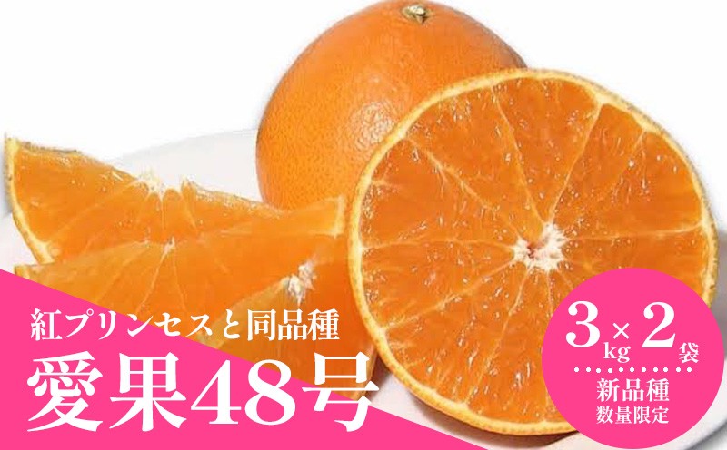 
                  【2027年3月上旬頃から順次発送】  愛果48号  約3kg × 2箱  （紅プリンセスと同品種） ｜あいか 愛果 紅まどんな × 甘平 紅プリンセス と同品種 みかん 蜜柑 ミカン 柑橘 果物 フルーツ 松山市産みかん 新品種  おすすめ お取り寄せ グルメ ギフト 期間 ご当地  愛媛県 松山市
                