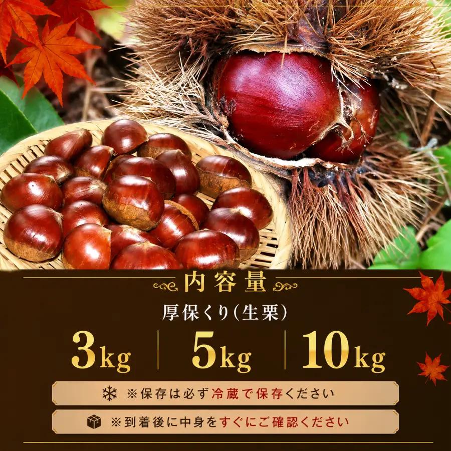 【先行予約】甘くて デカい ! 厚保くり ( 生栗 ) 10kg 山口美祢産 先行予約 ＜ 2026年10月上旬 ～ 11月中旬頃 発送予定＞ 