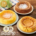 【ふるさと納税】塩沢宿名物　半熟カステラ3種セット