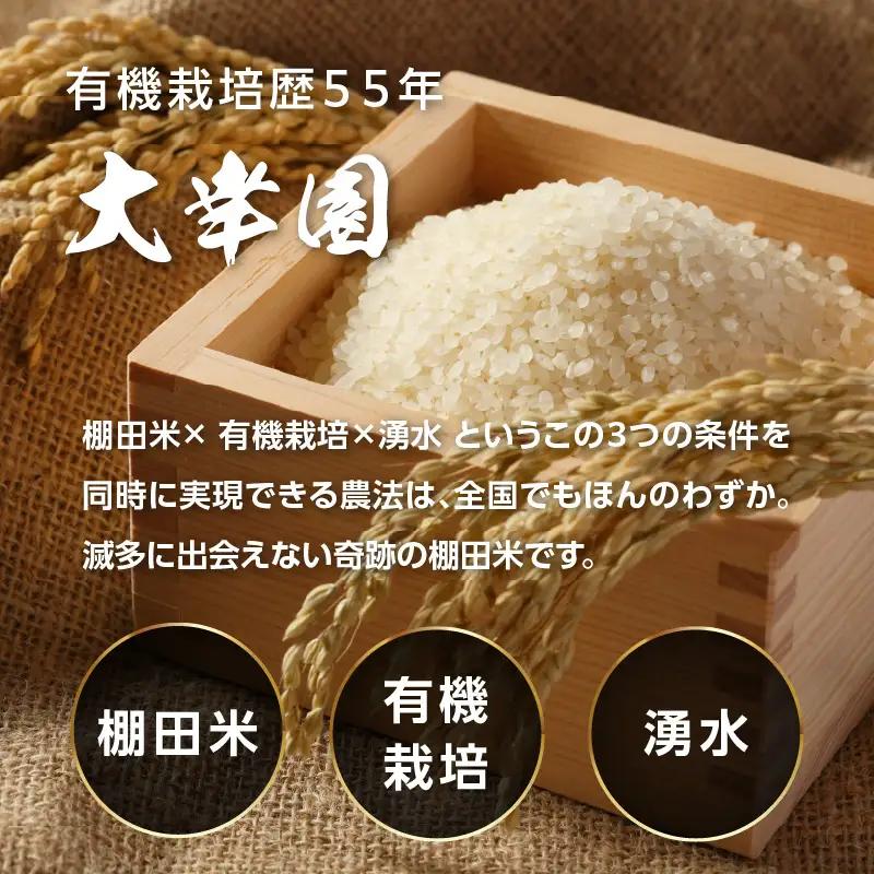 大幸園の玄米 6回定期便 有機JAS 認証 有機米 棚田米 5kg 米 国産 玄米 有機栽培 無農薬 甘い お米 九州産 オーガニック 福岡県 八女市 184-T004
