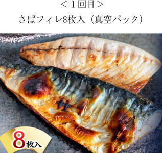 定期便 サバ 鮭 サケ 鰻 うなぎ 海鮮丼 おかず/【全4回】困った時の1品に！＼晩ご飯直行／絶品おかず定期便（さば・鰻・サケ・海鮮丼）【tkb304】