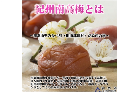 紀州南高梅　しそ漬梅干し　1.2kg　家庭用（B級、C級）