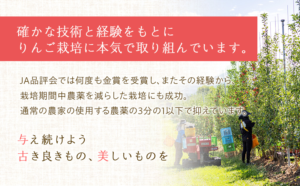 【2026年/令和8年発送分 】梨 長野 南水 約 3kg 信州の梨 フル
